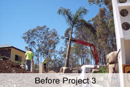 Ex ground tree being installed