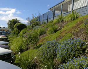 Sunshine Coast commercial landscaping