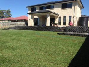 Sir Walter Turf Brisbane