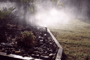 micro sprinklers misting in Brisbane irrigation and reticulation project
