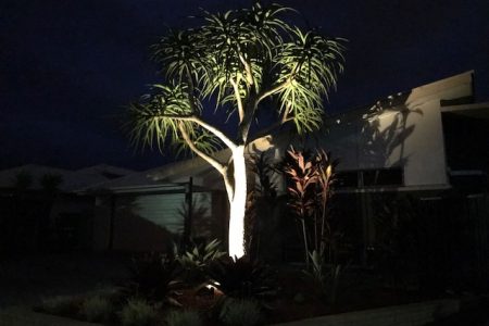 Garden lighting in landscapers Brisbane project