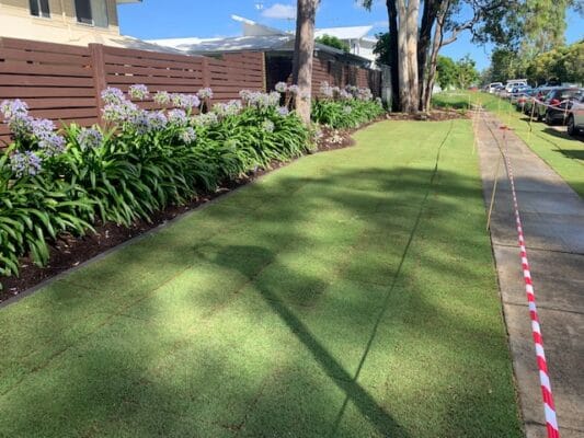 Landscapers Nudgee - Landscapers Brisbane - Tiftuf lawn - havenbrick garden edge - Agapanthus in flower